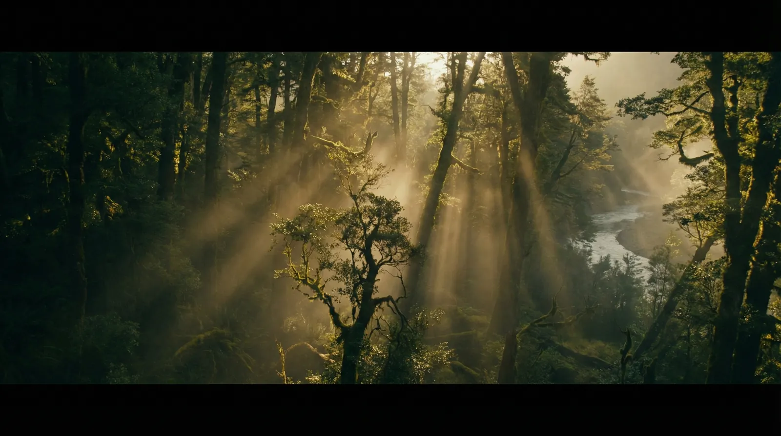 暗网-暗网影视最新原创与精选视频 自然纪录片风格调色案例